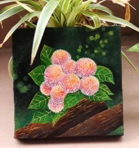 asma-ul-hasna-nimmi-2