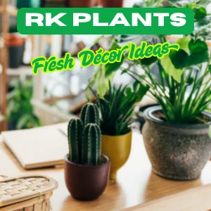 RK Plants